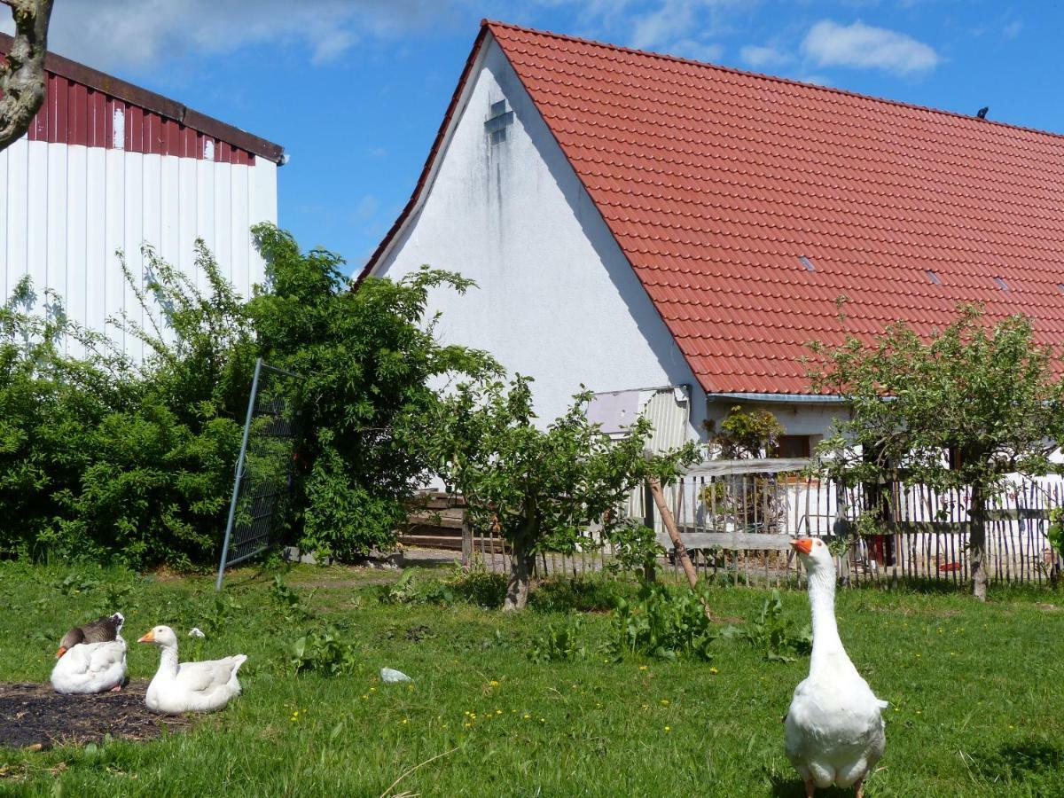 Die Gefaehrten Oberhausen  Exterior foto